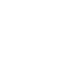 nano wallet